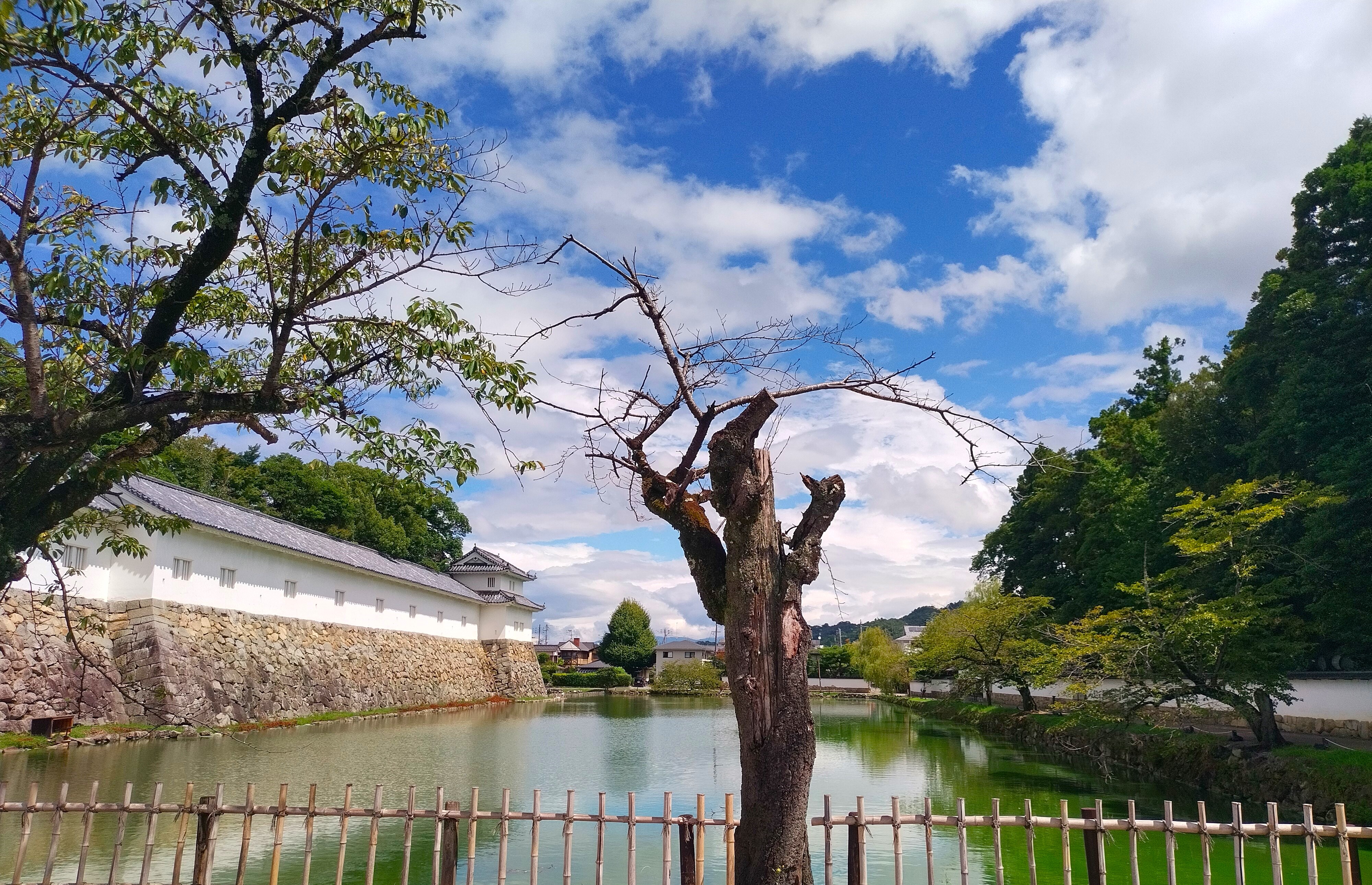 Vue sur les douves entourant le château de Hikone