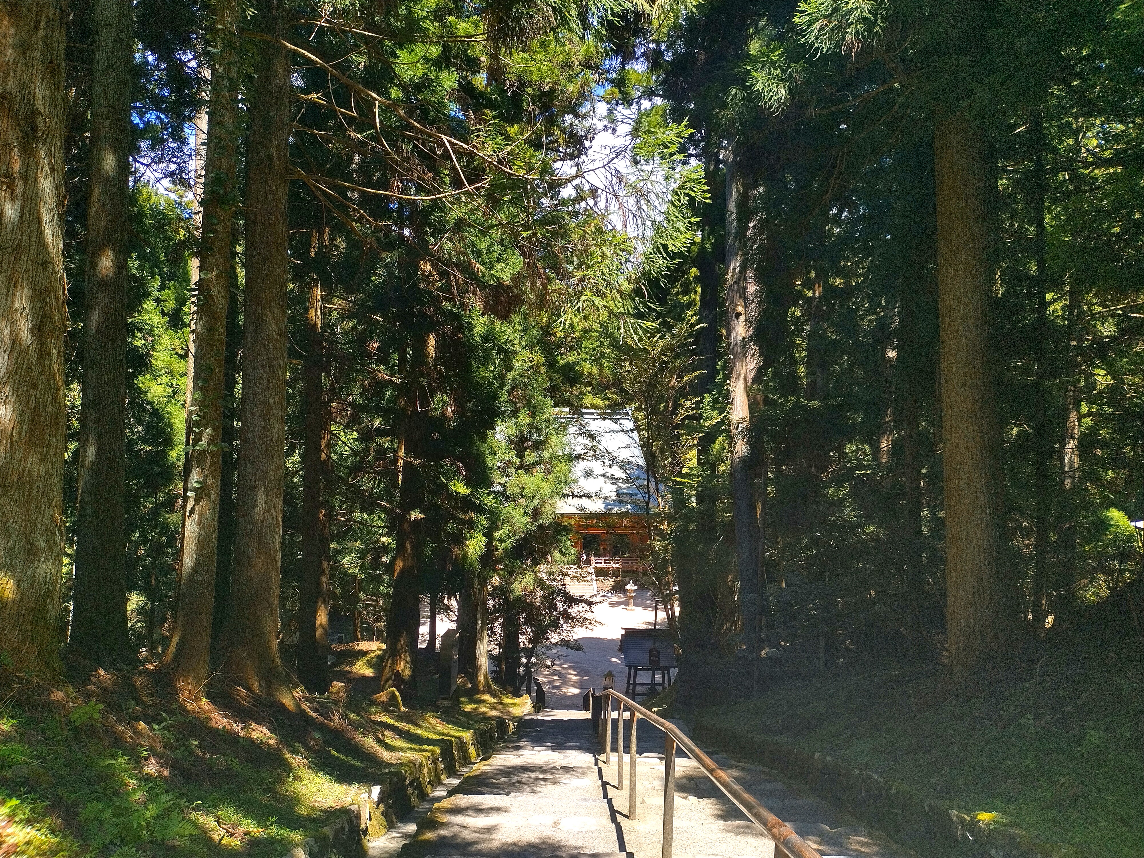 Dans la forêt au mont Hiei